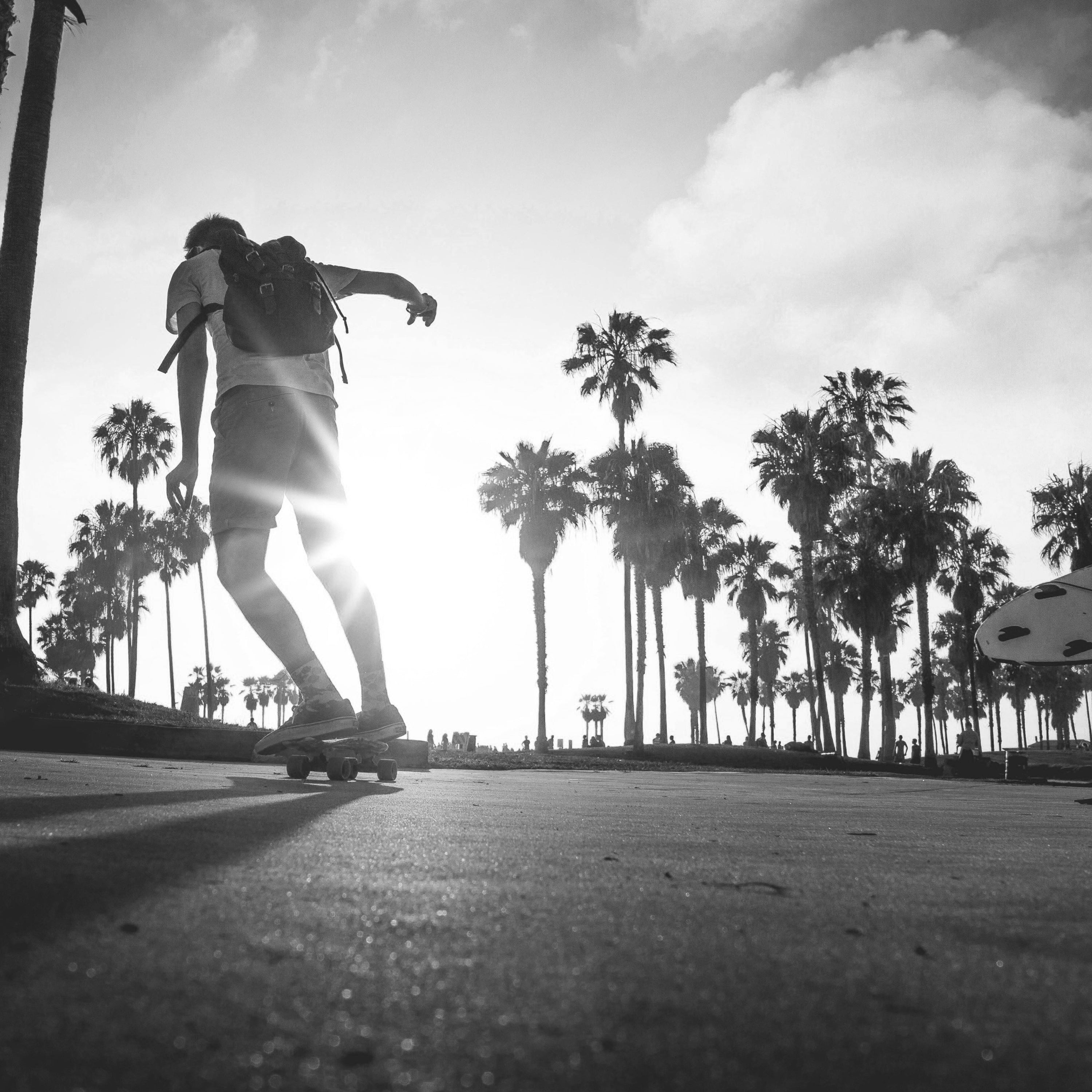 APOLLO BLOG - Carving Longboards: Vor- und Nachteile