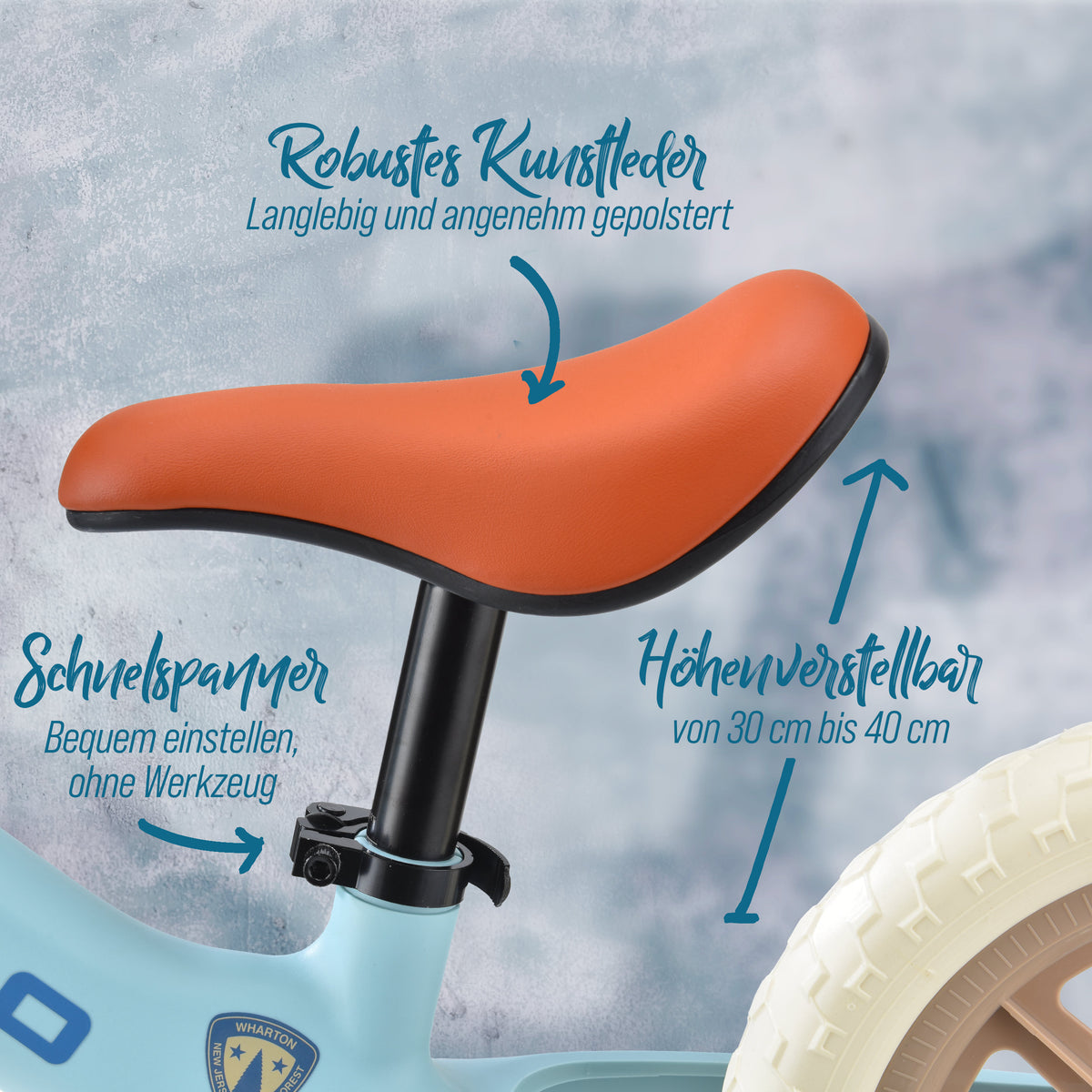 Apollo Funsport - Trailbuddy Laufrad ab 2 Jahre – 12 Zoll Kinderlaufrad - Blue